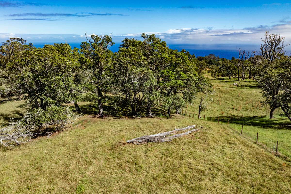 13 Old Stable Road Paauilo, HI 96776 - Photo 15 of 21 Gallery Image 15