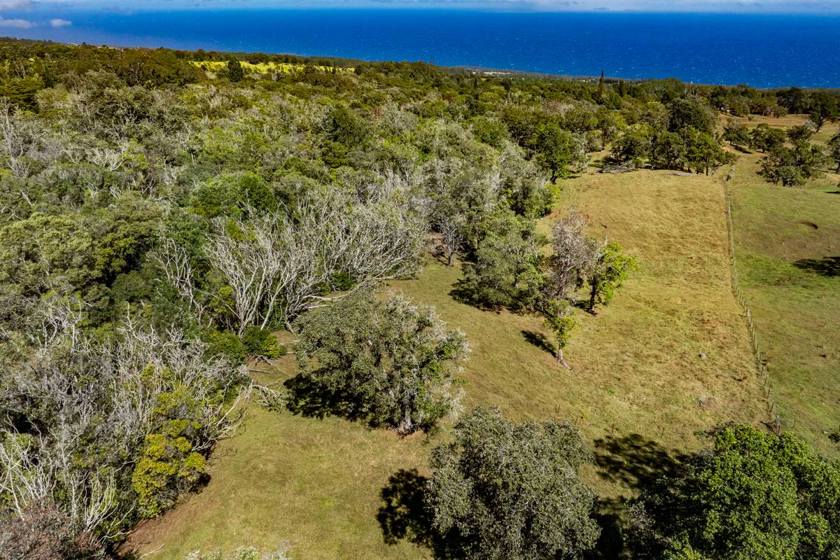 13 Old Stable Road Paauilo, HI 96776 - Photo 16 of 21 Gallery Image 16