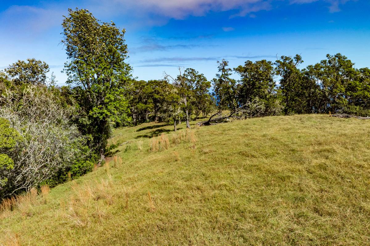 13 Old Stable Road Paauilo, HI 96776 - Photo 17 of 21 Gallery Image 17