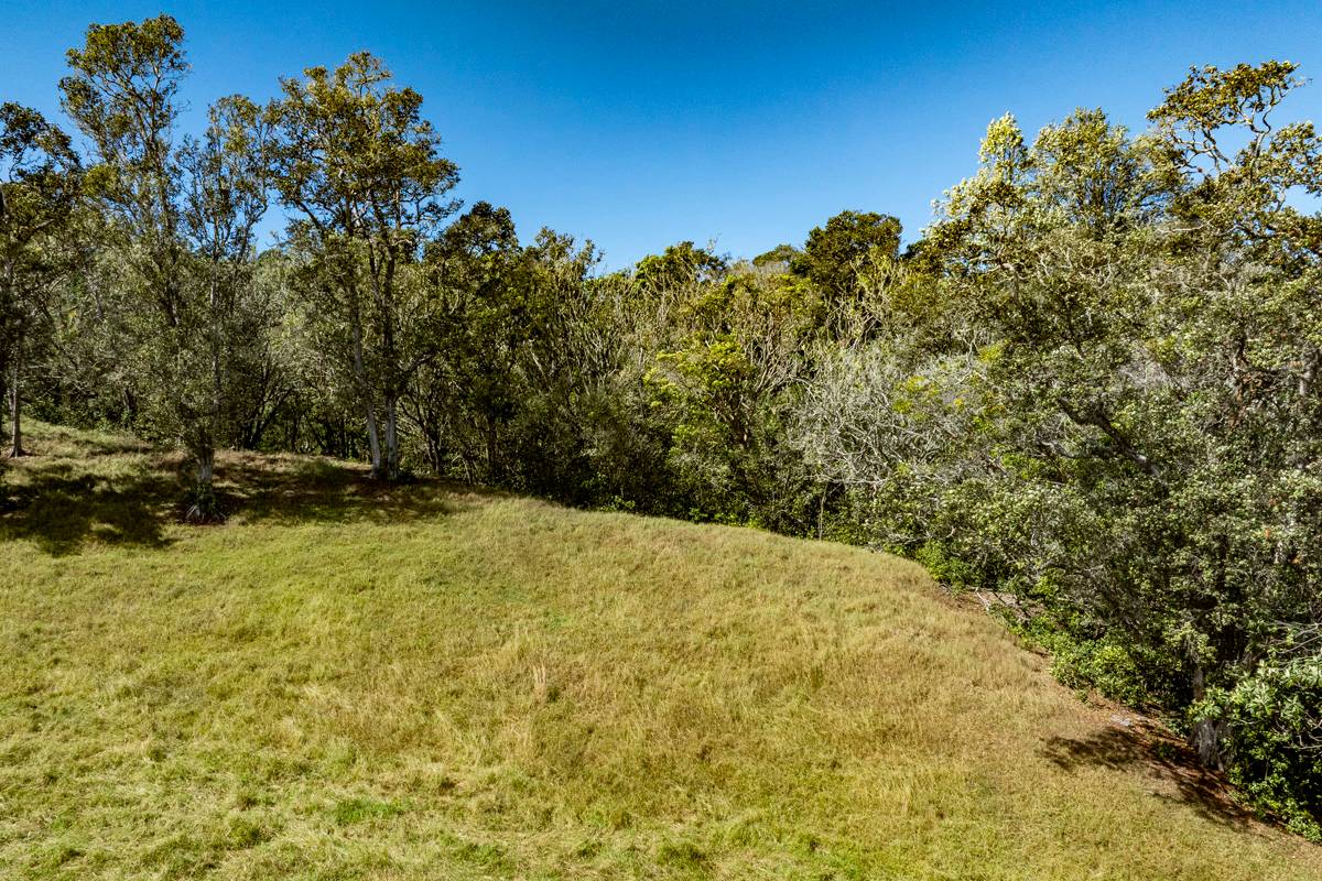 13 Old Stable Road Paauilo, HI 96776 - Photo 18 of 21 Gallery Image 18