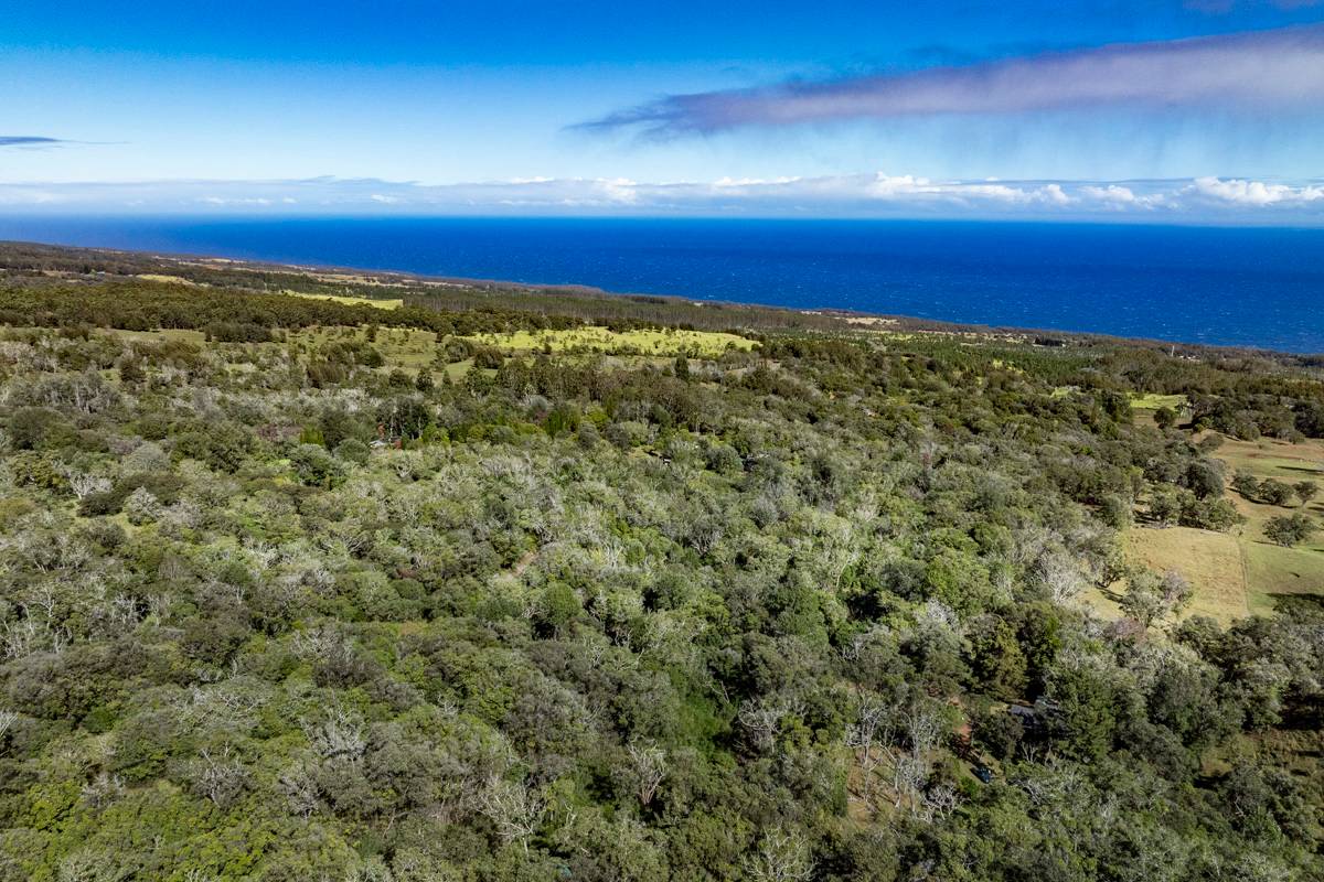13 Old Stable Road Paauilo, HI 96776 - Photo 2 of 21 Gallery Image 2
