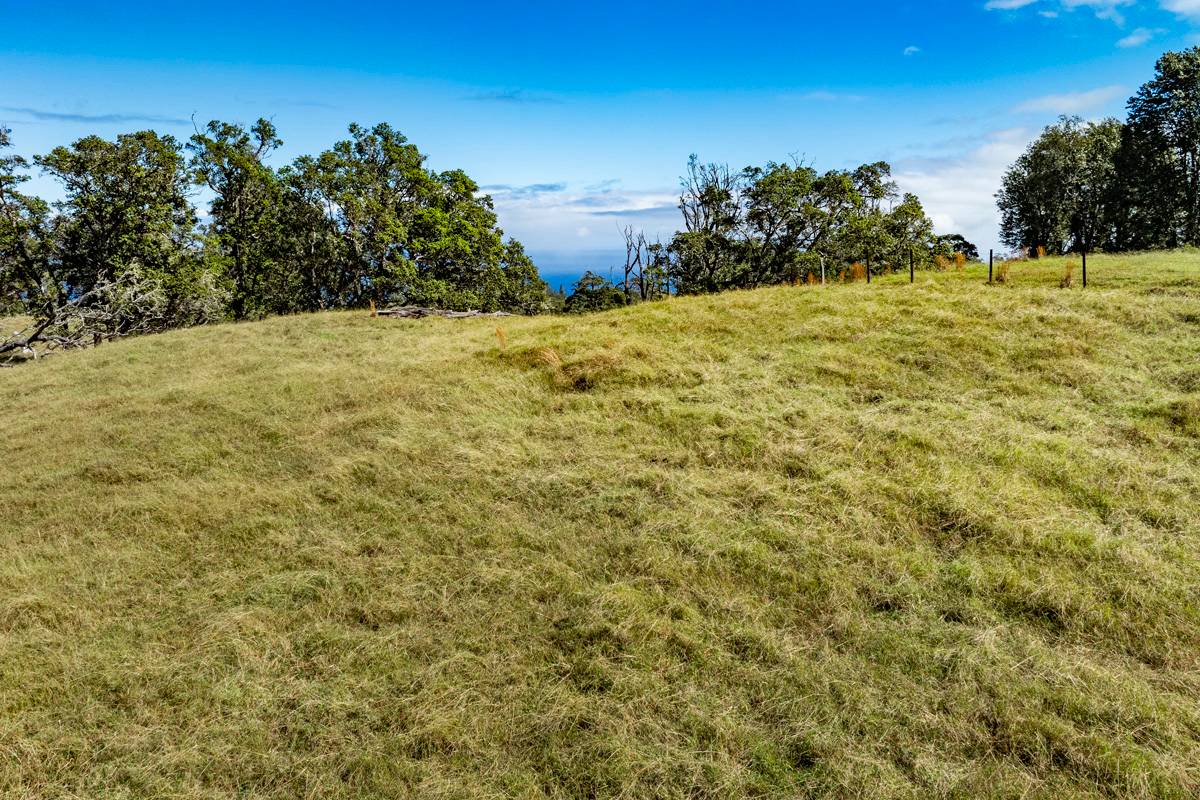 13 Old Stable Road Paauilo, HI 96776 - Photo 21 of 21 Gallery Image 21