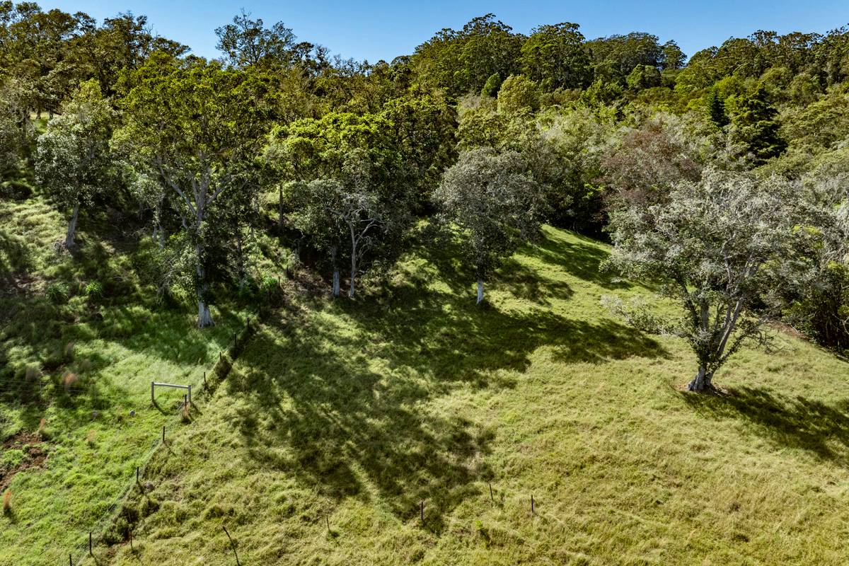 13 Old Stable Road Paauilo, HI 96776 - Photo 3 of 21 Gallery Image 3