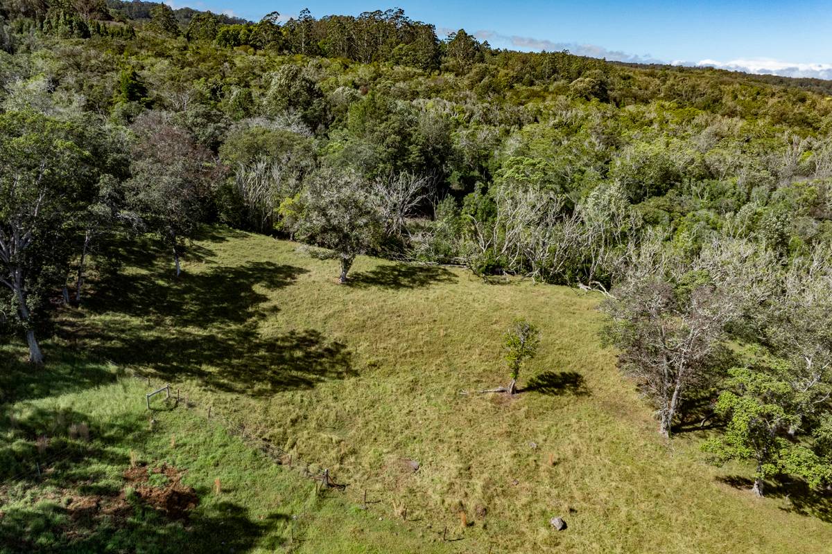 13 Old Stable Road Paauilo, HI 96776 - Photo 6 of 21 Gallery Image 6