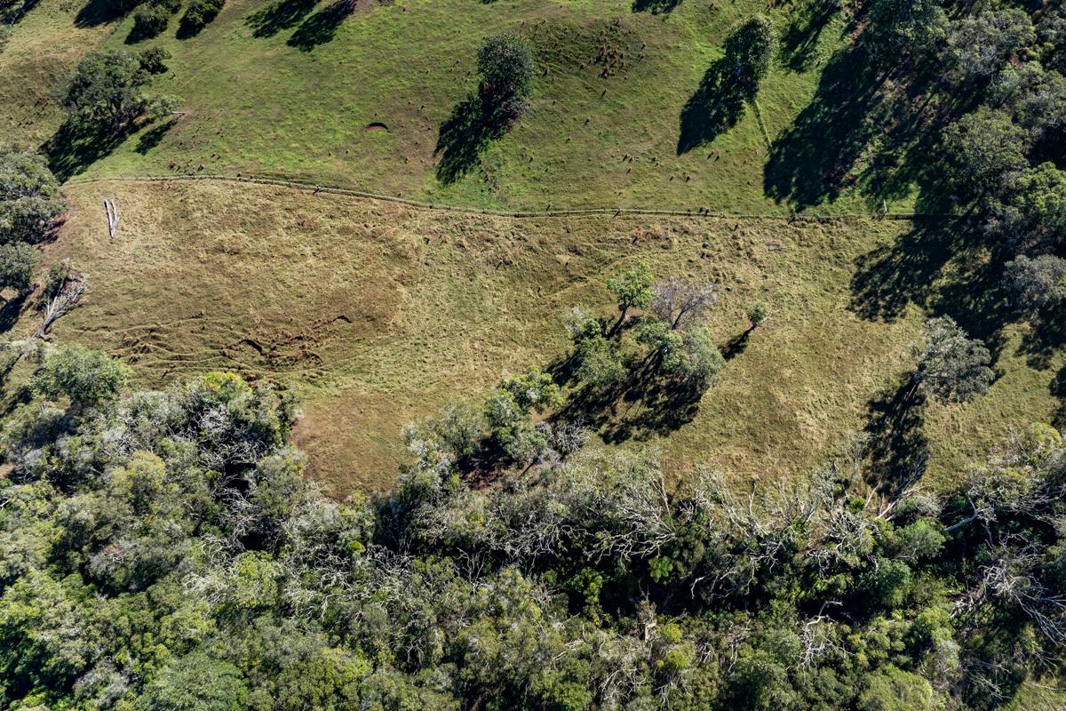 13 Old Stable Road Paauilo, HI 96776 - Photo 7 of 21 Gallery Image 7