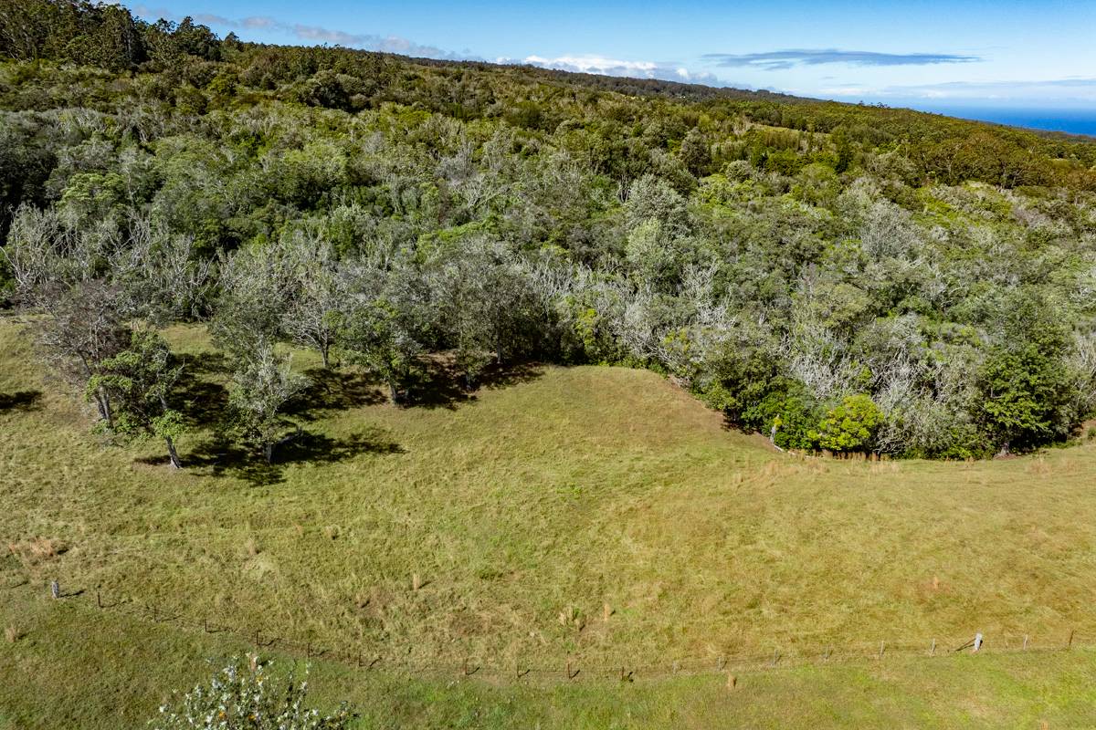 13 Old Stable Road Paauilo, HI 96776 - Photo 8 of 21 Gallery Image 8