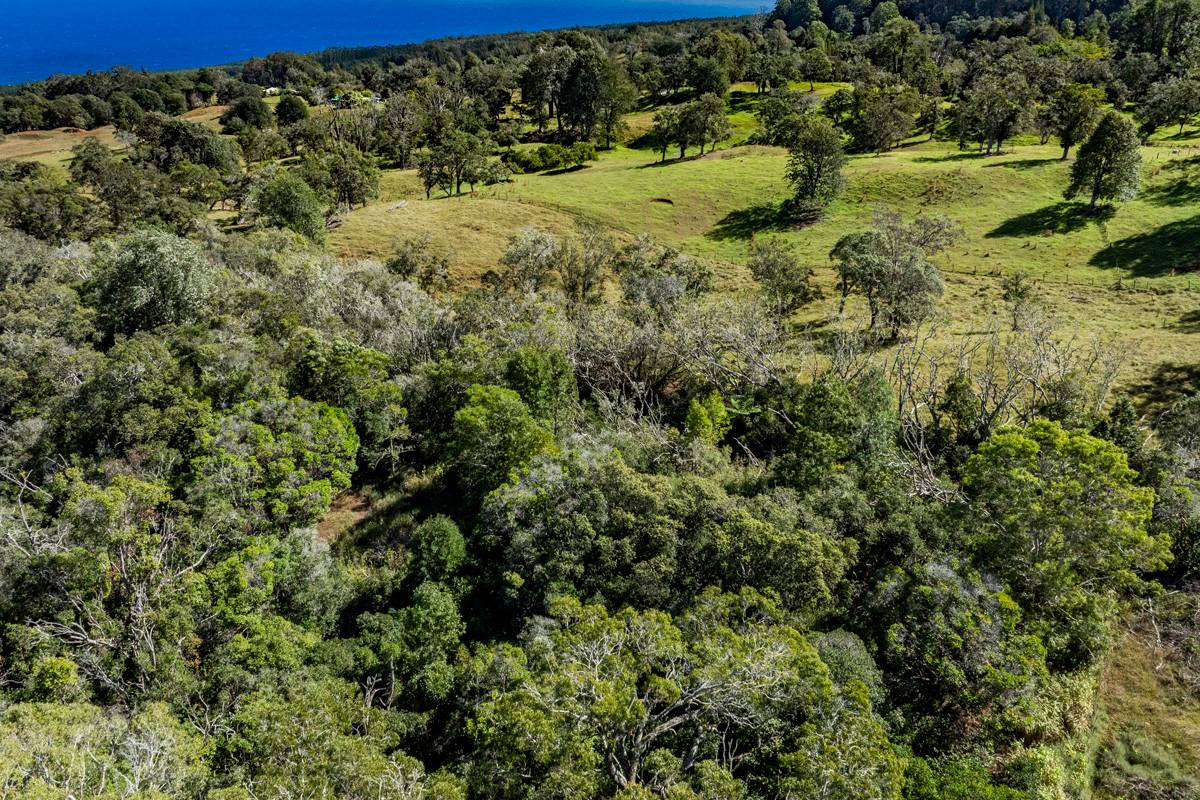 13 Old Stable Road Paauilo, HI 96776 - Photo 10 of 21 Gallery Image 10