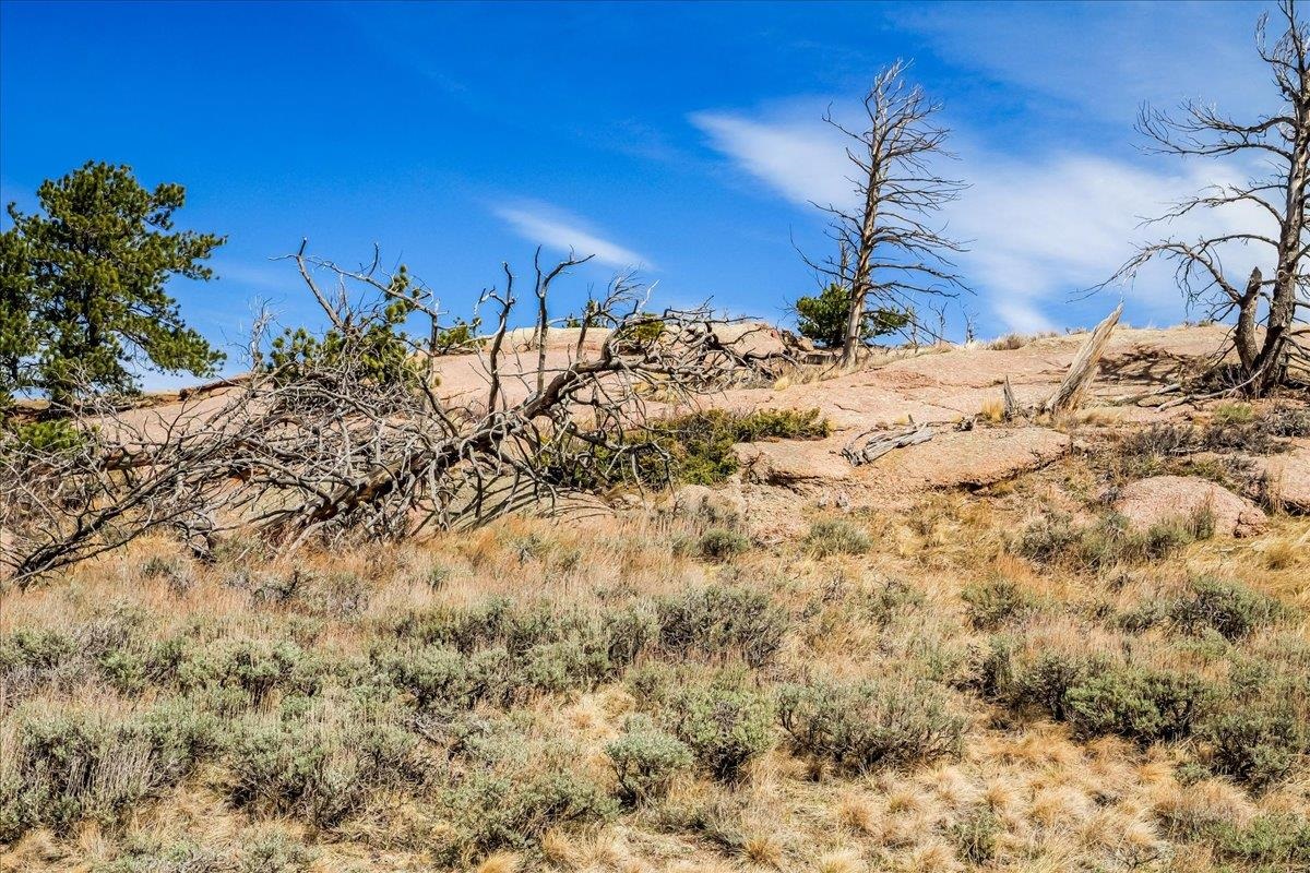 9 Bear Ridge Road Buford, WY 82052 - Photo 22 of 50