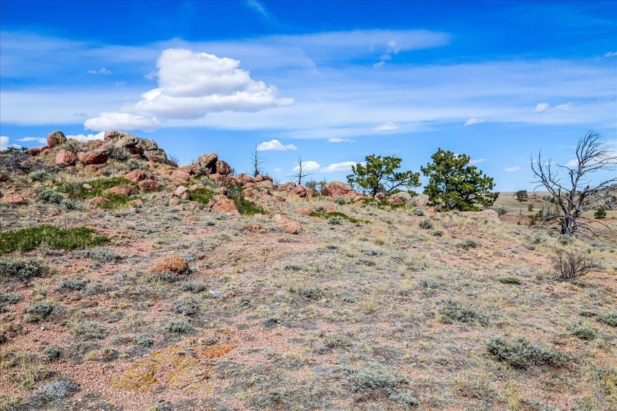 9 Bear Ridge Road Buford, WY 82052 - Photo 28 of 50