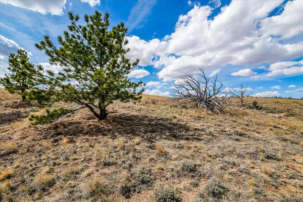 $100,000 | 9 Bear Ridge Road, Buford, WY 82052