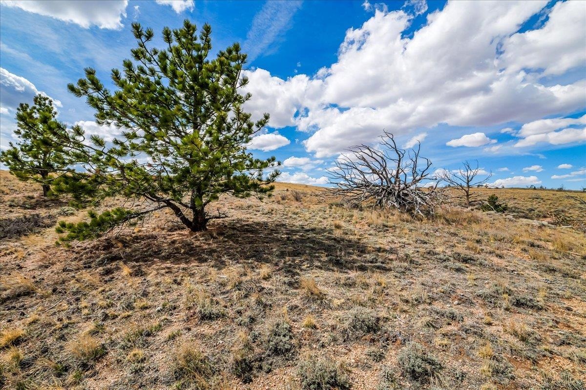 9 Bear Ridge Road Buford, WY 82052 - Photo 31 of 50