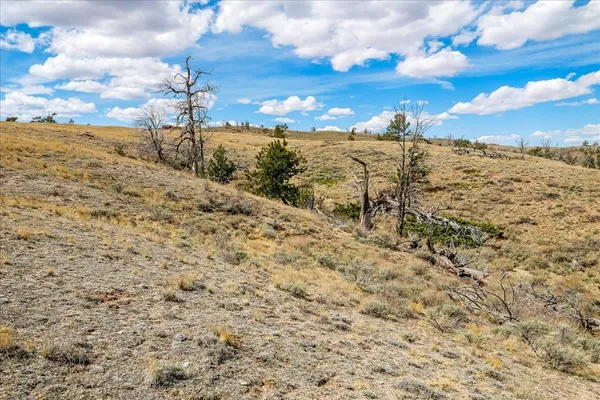 $100,000 | 9 Bear Ridge Road, Buford, WY 82052
