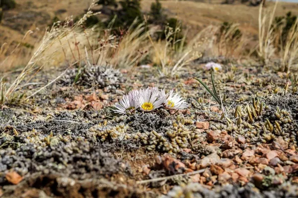 $100,000 | 9 Bear Ridge Road, Buford, WY 82052