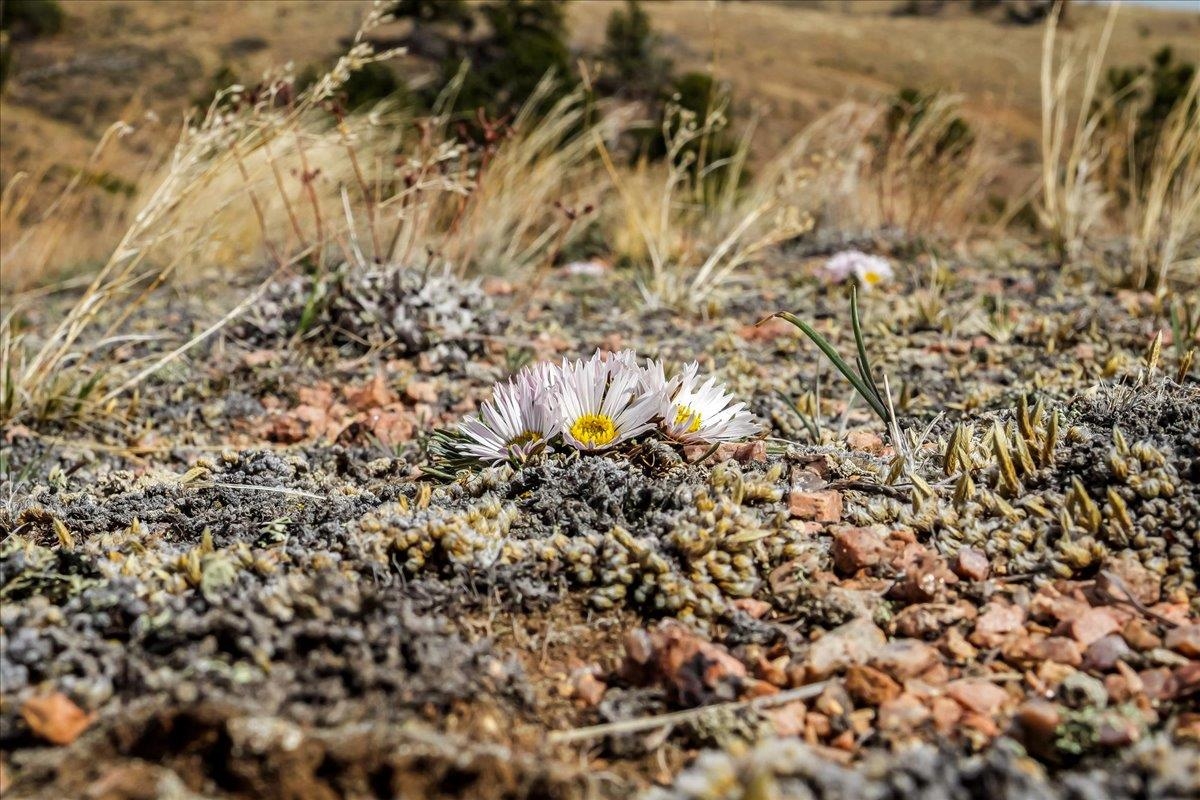 9 Bear Ridge Road Buford, WY 82052 - Photo 37 of 50