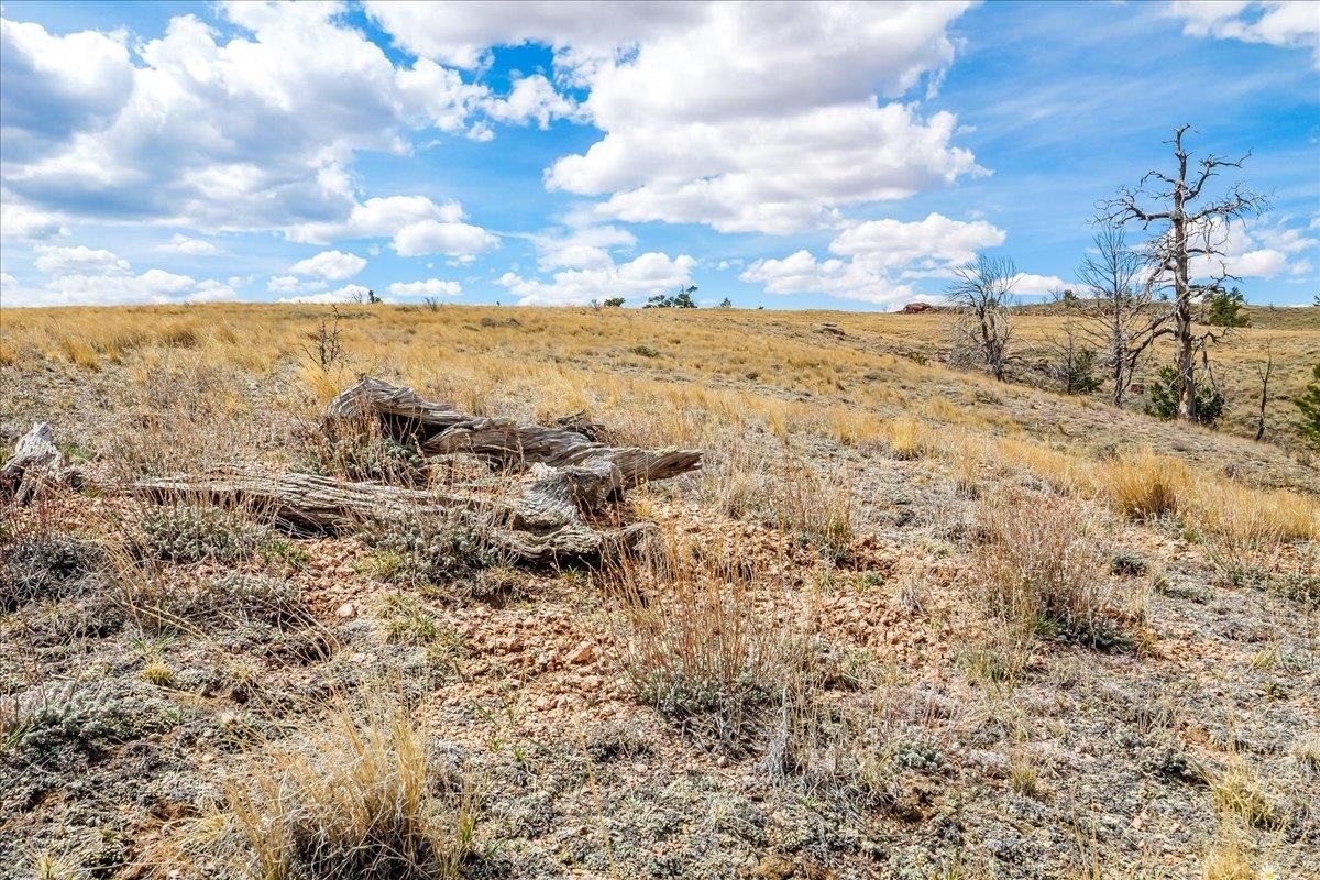 9 Bear Ridge Road Buford, WY 82052 - Photo 38 of 50