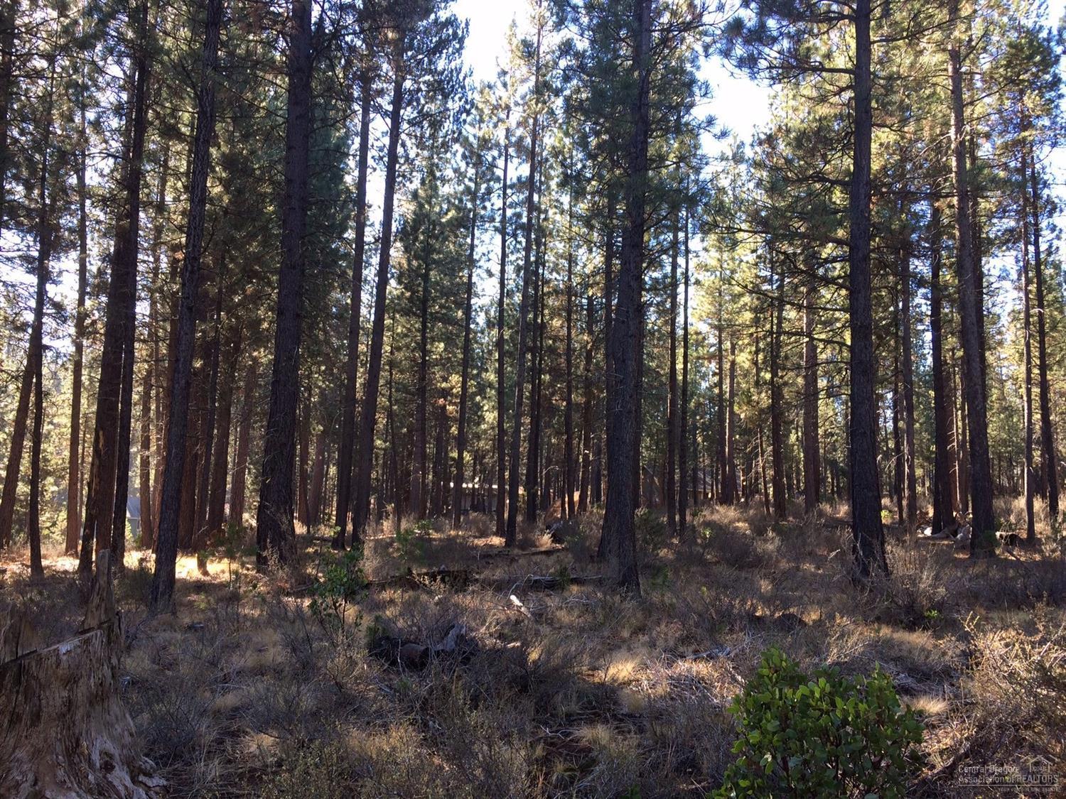 16857 Indio Road Bend, OR 97707 - Photo 4 of 4 Gallery Image 4