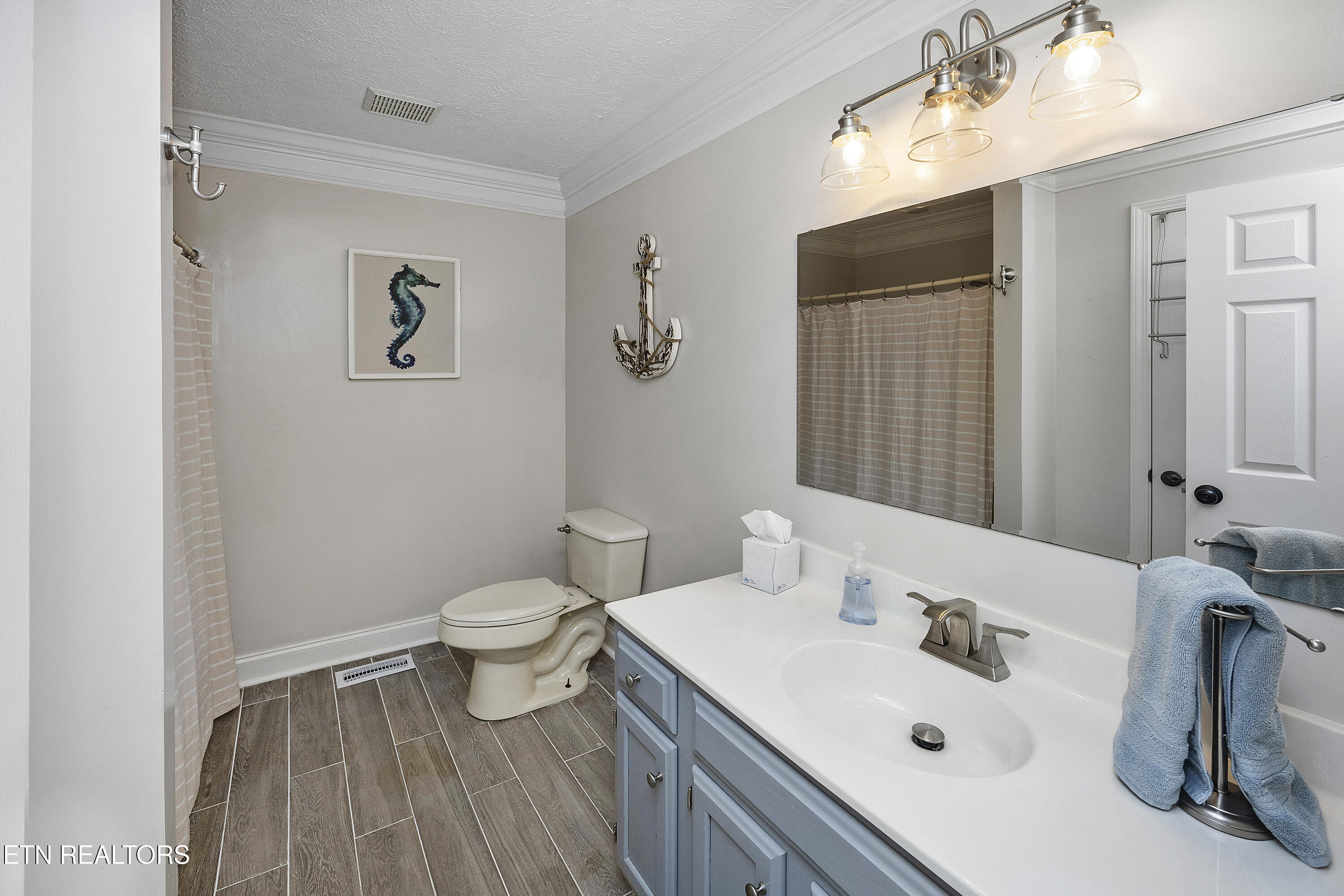 5829 Maloneyville Road Corryton, TN 37721 - Photo 14 of 44 Bathroom 2