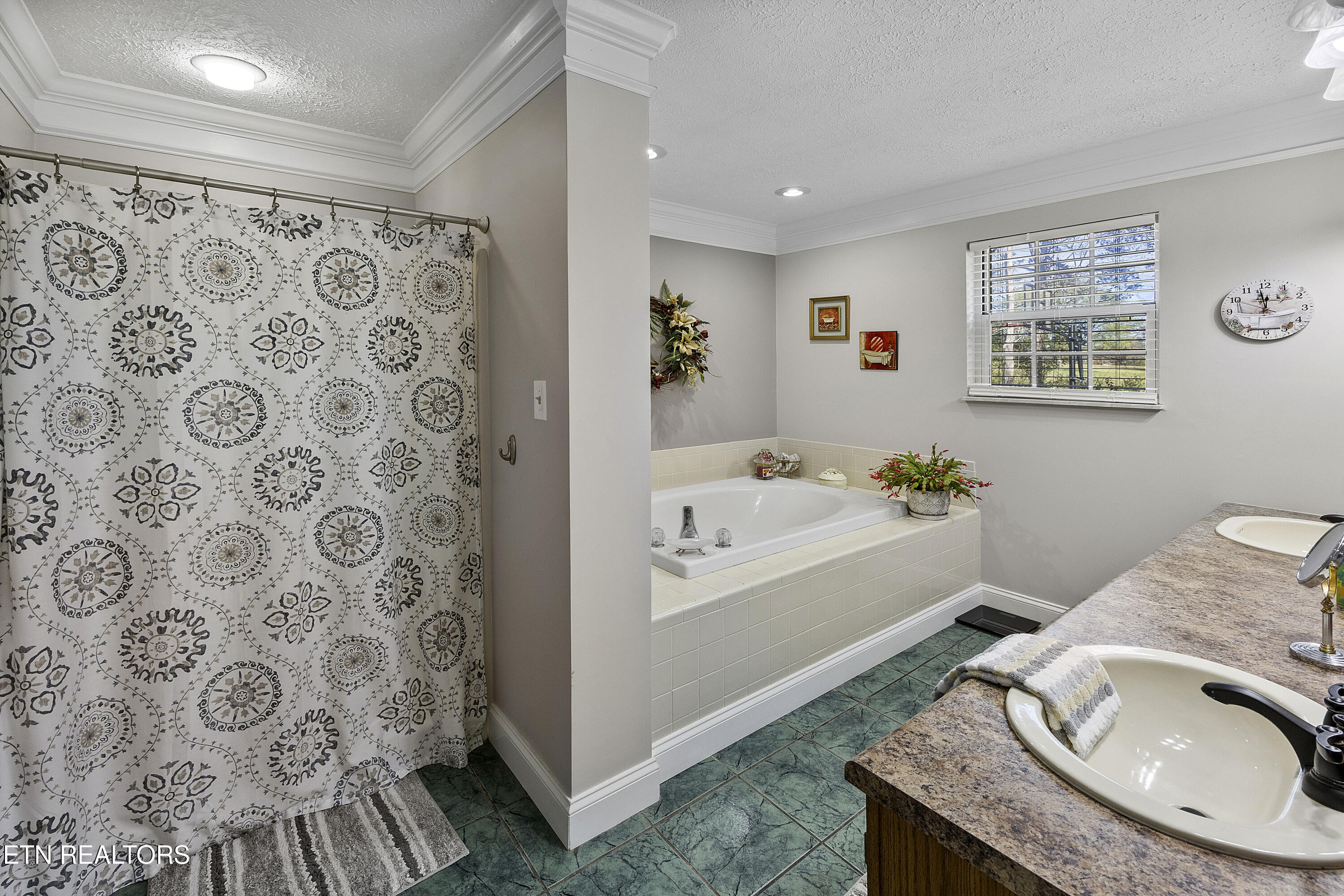 5829 Maloneyville Road Corryton, TN 37721 - Photo 26 of 44 Master Bathroom 2