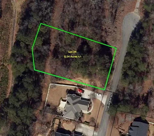 an outdoor space with lots of trees