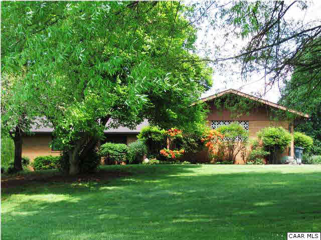 a view of a garden with a tree
