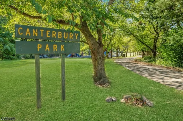 a view of a back yard