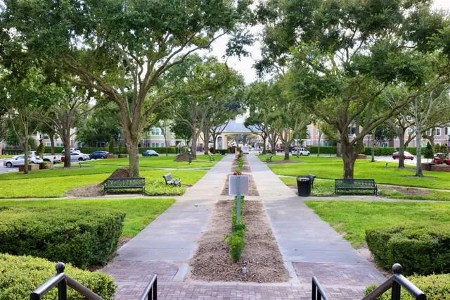 a park with large trees