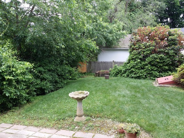 149 Bonad Road Brookline, MA 02467 - Photo 19 of 19