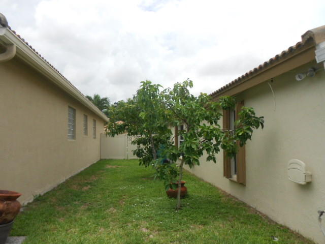1006 Fosters Mill Road Boynton Beach, FL 33436 - Photo 16 of 18 Avocado Tree