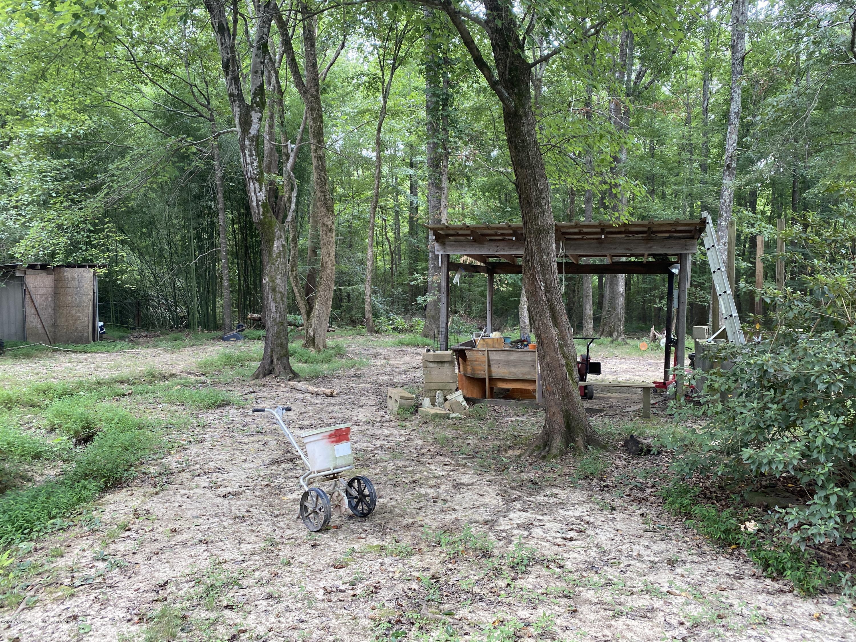 170 Woodview Road Byhalia, MS 38611 - Photo 26 of 32 Backyard