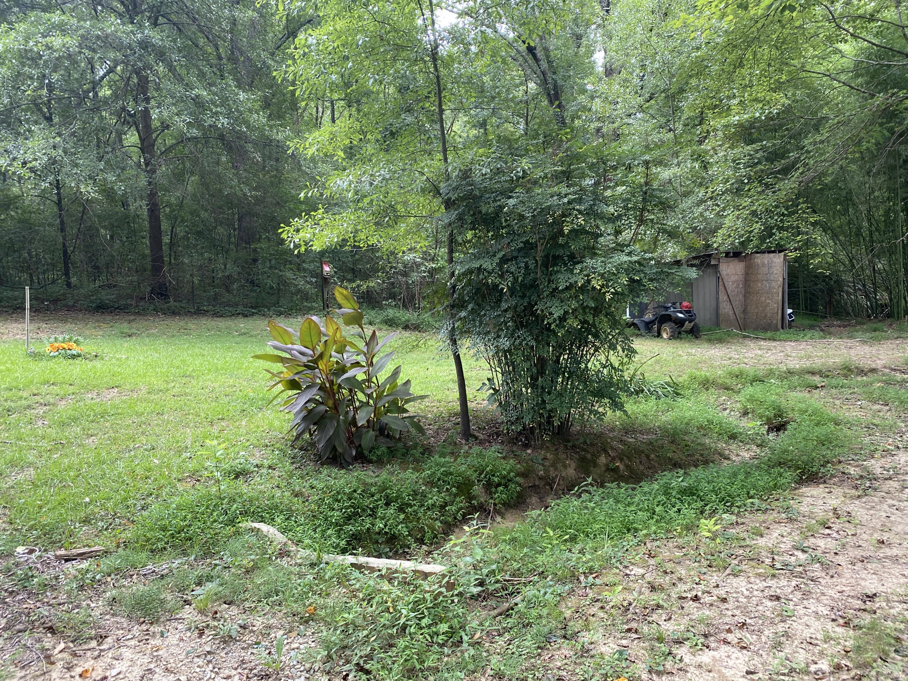 170 Woodview Road Byhalia, MS 38611 - Photo 29 of 32 Sideyard