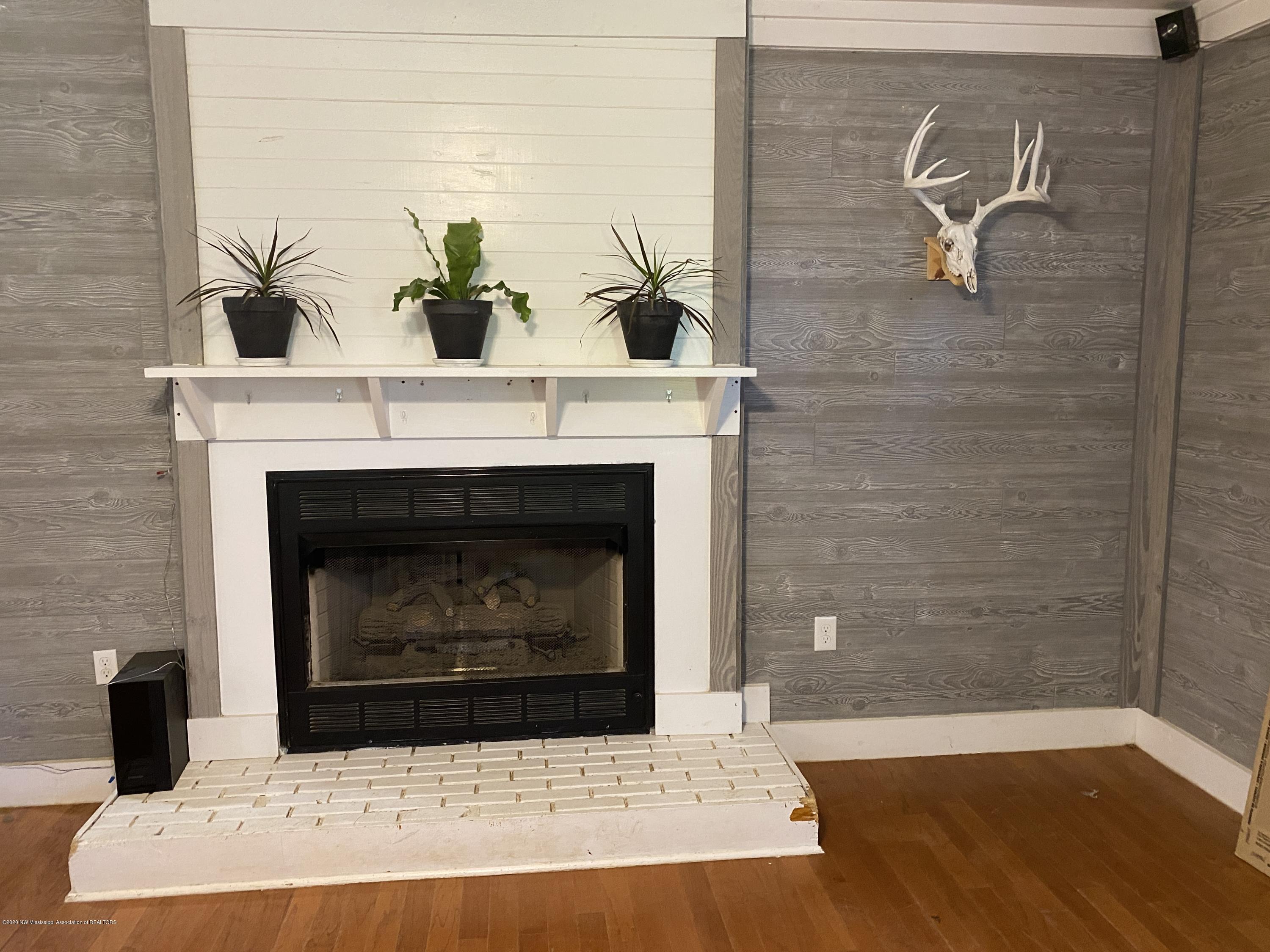 170 Woodview Road Byhalia, MS 38611 - Photo 4 of 32 Fireplace