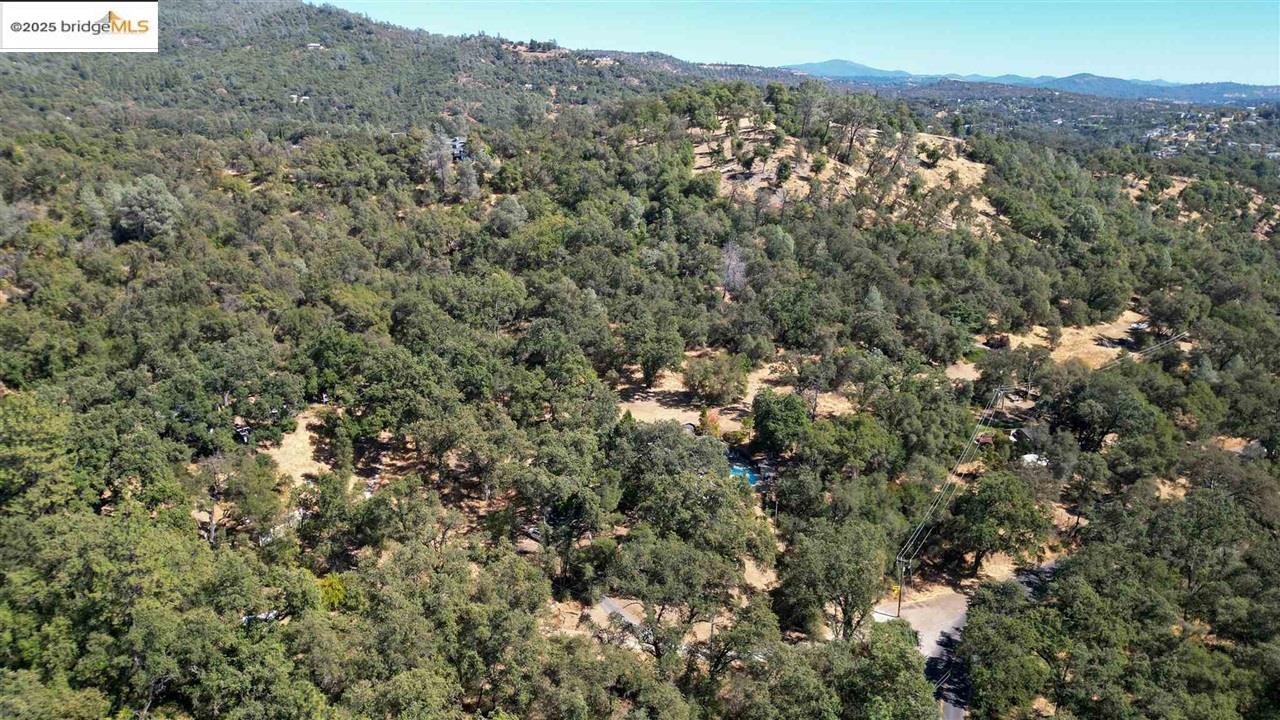 a view of a city with lush green forest