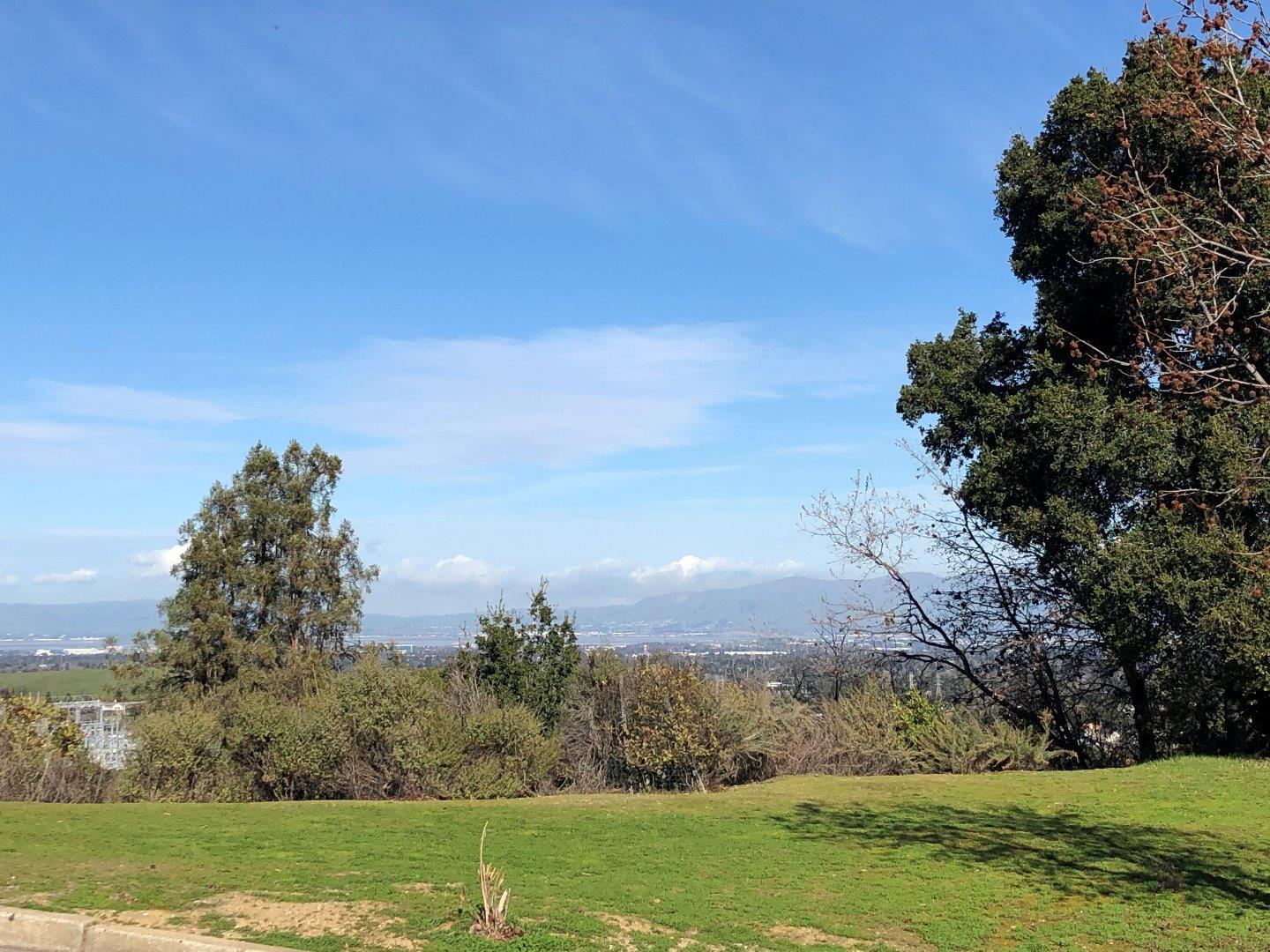 23025 Voss Avenue Cupertino, CA 95014 - Photo 43 of 45 a view of a big yard with a large tree