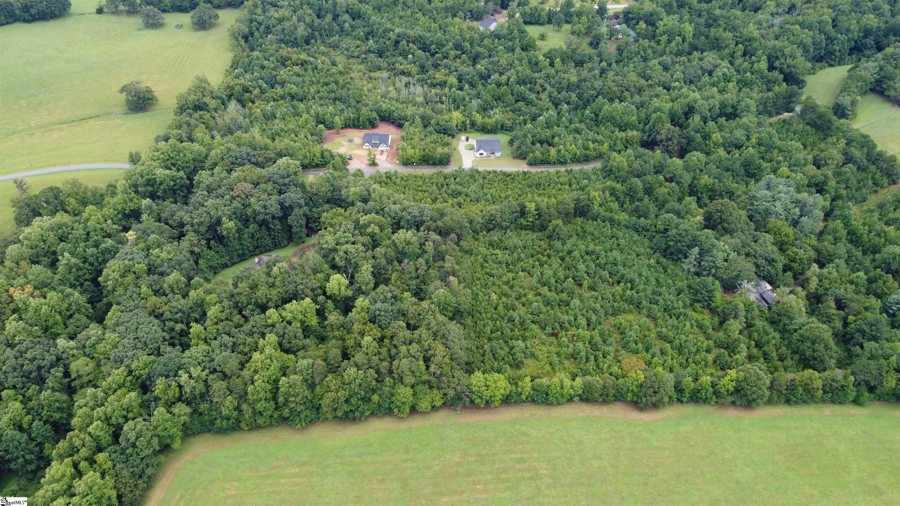 0 Fate Dill Road Greer, SC 29651 - Photo 3 of 4