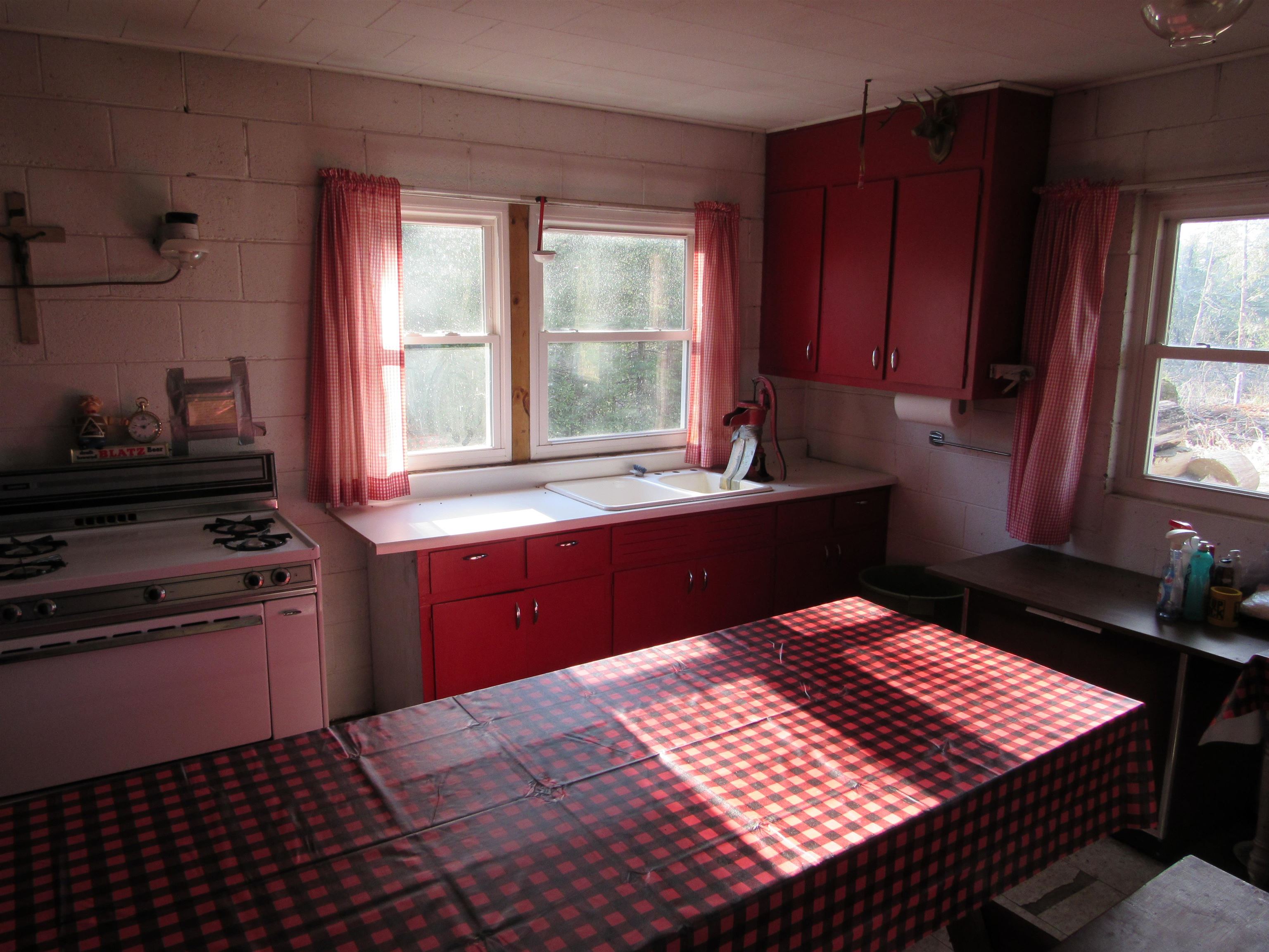 Detemple Road Carney, MI 49812 - Photo 15 of 22