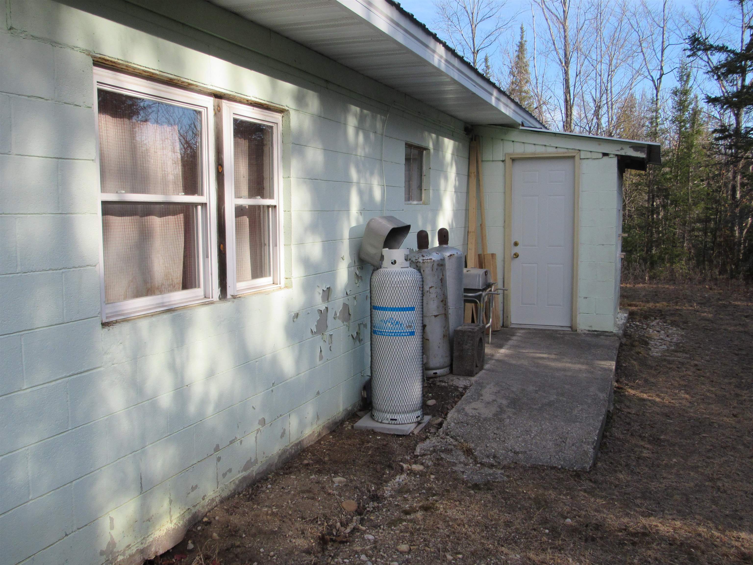 Detemple Road Carney, MI 49812 - Photo 4 of 22