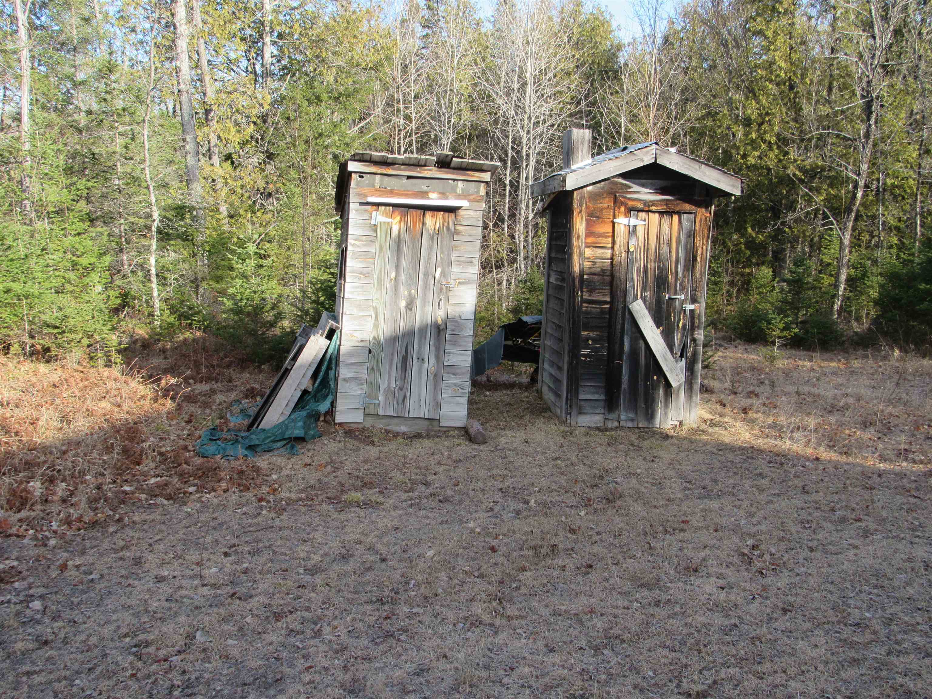 Detemple Road Carney, MI 49812 - Photo 5 of 22