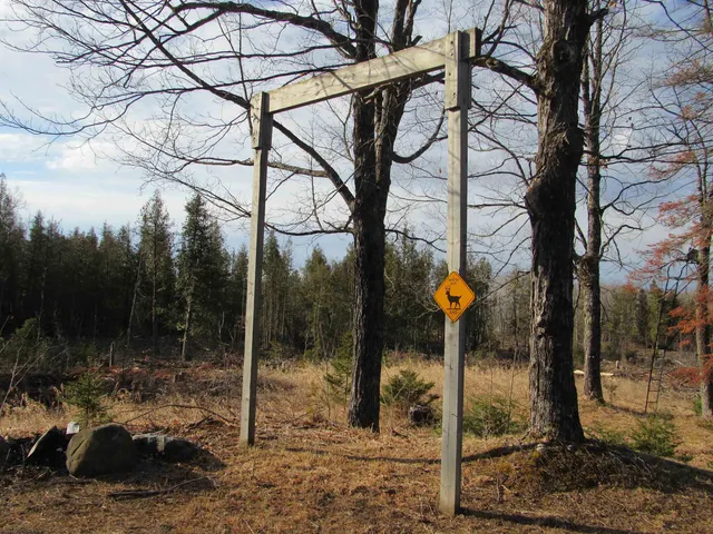 $174,900 | Detemple Road, Carney, MI 49812