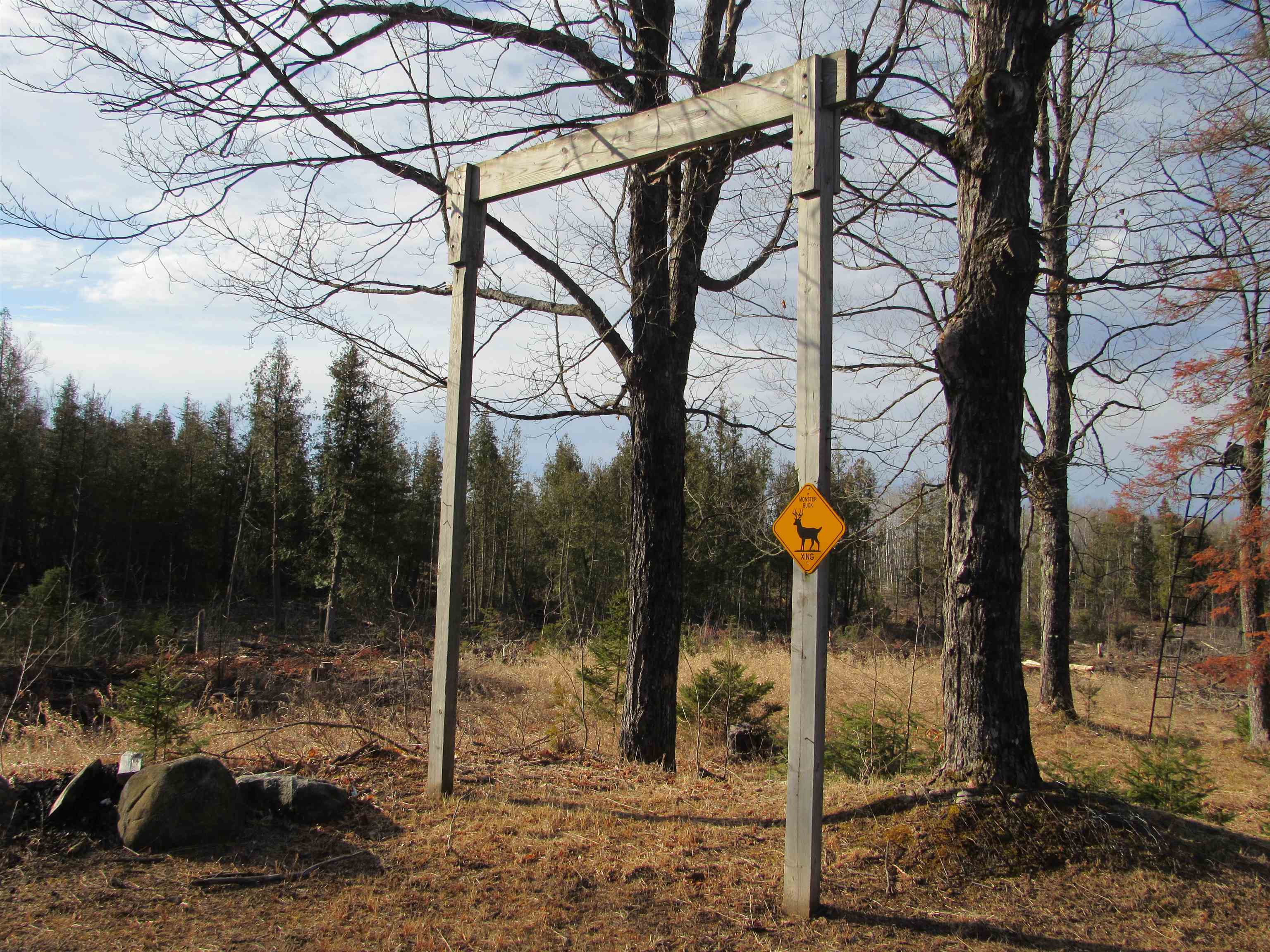 Detemple Road Carney, MI 49812 - Photo 6 of 22