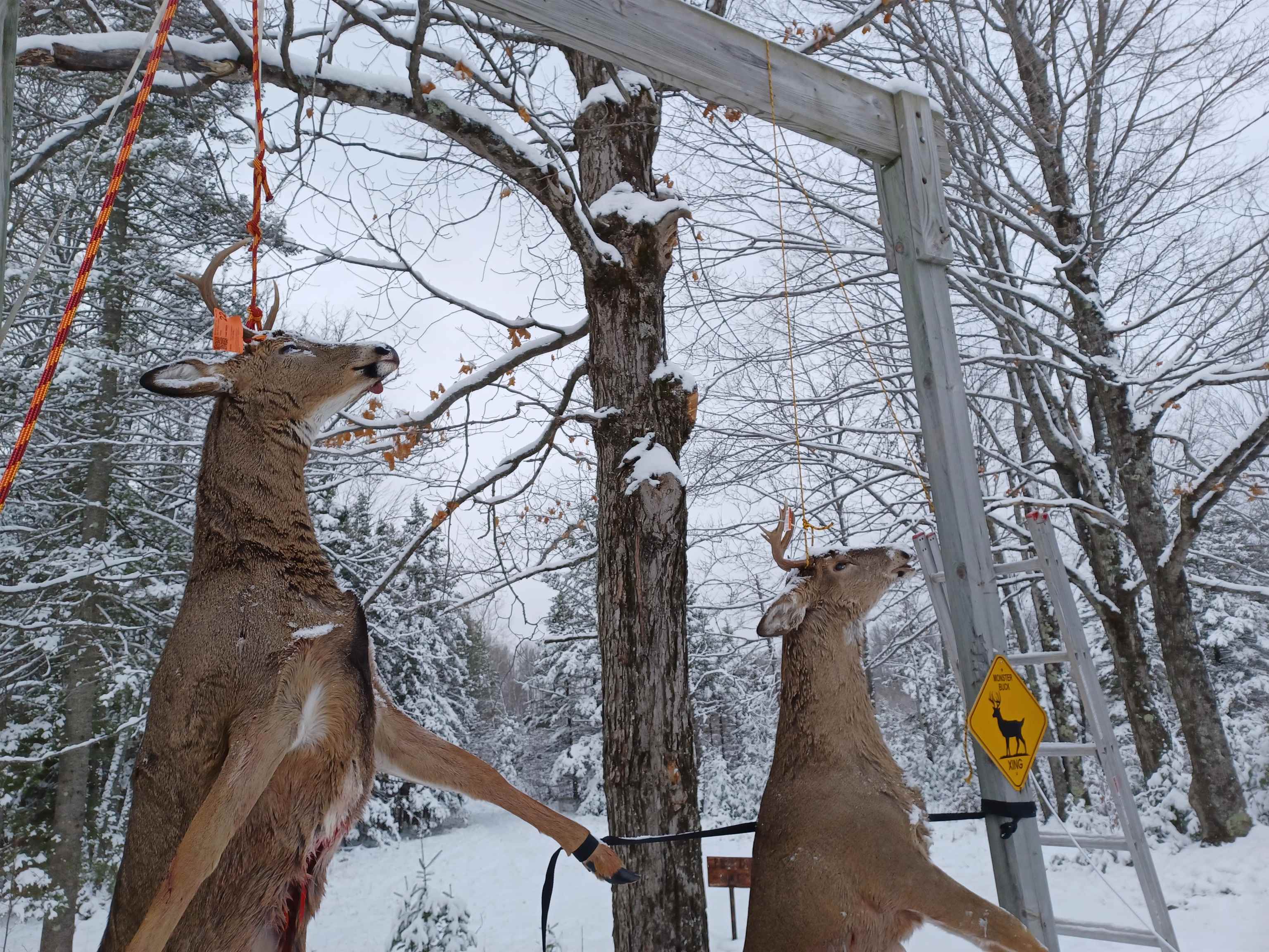 Detemple Road Carney, MI 49812 - Photo 7 of 22