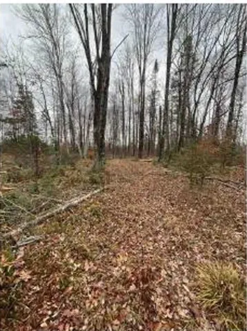 $174,900 | Detemple Road, Carney, MI 49812