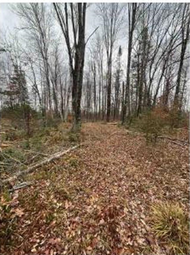 Detemple Road Carney, MI 49812 - Photo 8 of 22