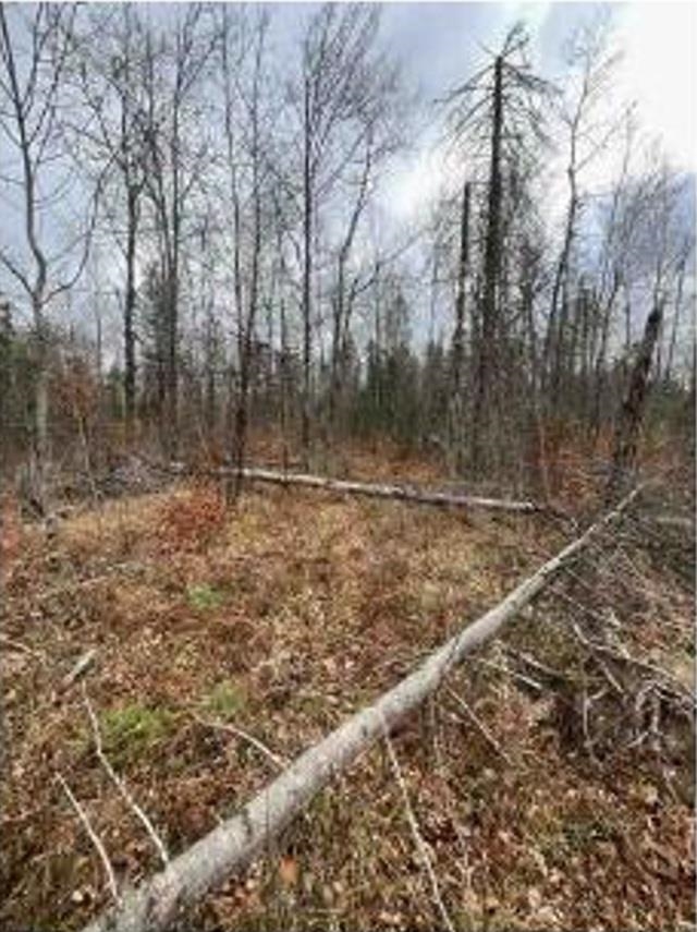 Detemple Road Carney, MI 49812 - Photo 9 of 22