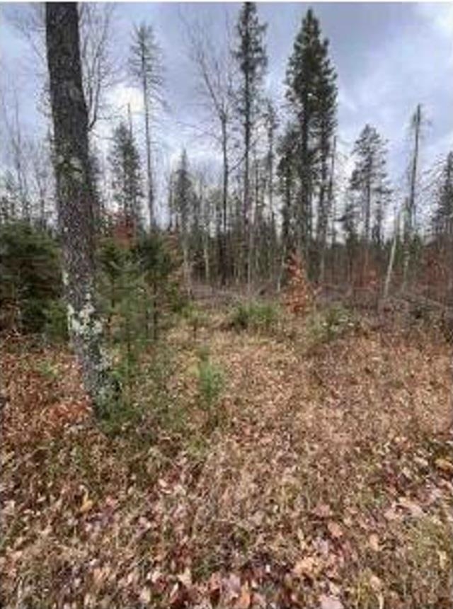 Detemple Road Carney, MI 49812 - Photo 10 of 22