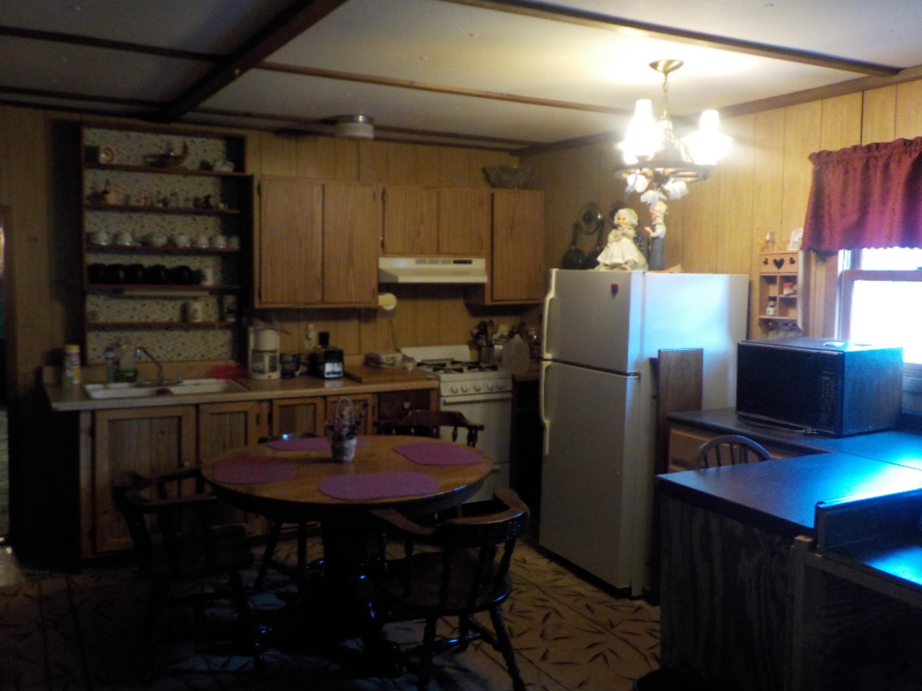 1457 West Pine Tree Road Baldwin, MI 49304 - Photo 19 of 24 DSCN0051