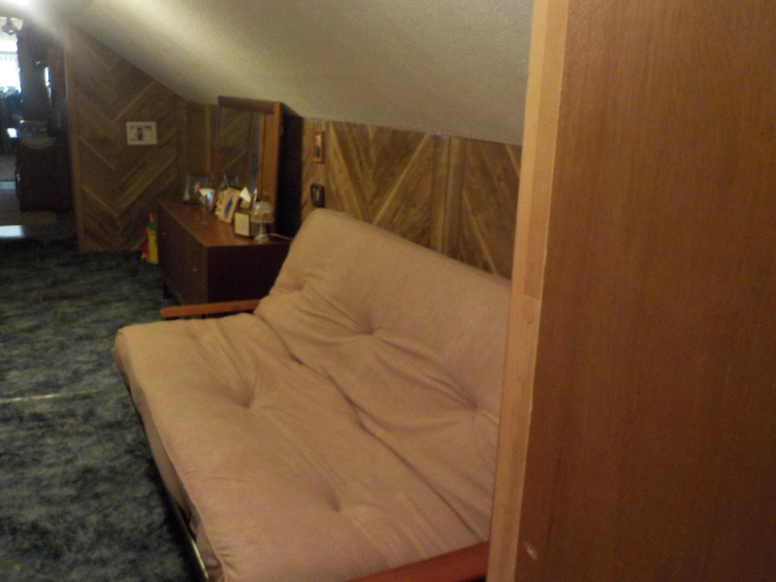 1457 West Pine Tree Road Baldwin, MI 49304 - Photo 24 of 24 DSCN0046
