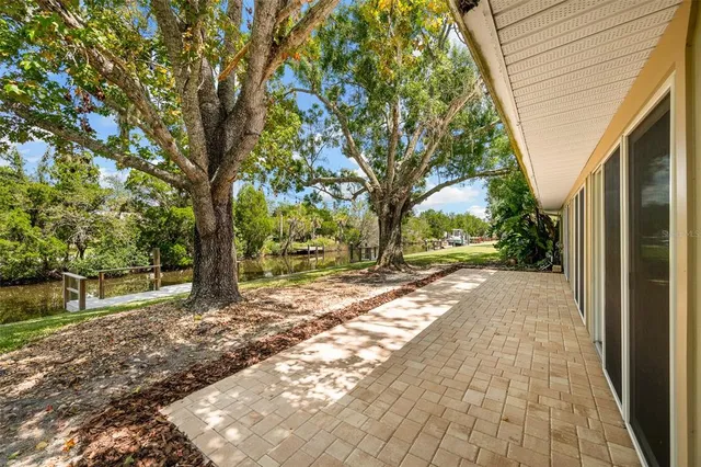 a view of a yard with plants and trees