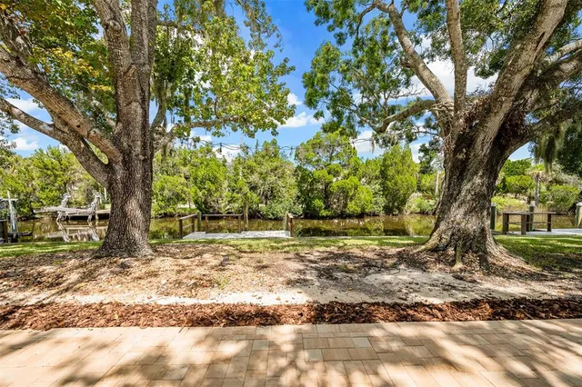 a view of a yard with plants and a large tree