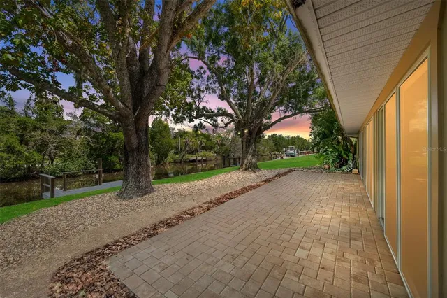 a view of a yard with plants and trees