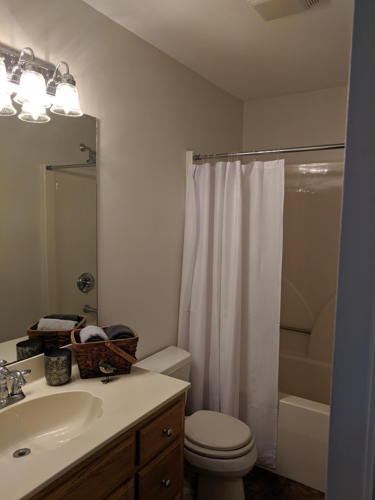 3691 Stockton Valley Road Loudon, TN 37774 - Photo 35 of 38 a bathroom with a sink a toilet a mirror and shower curtain